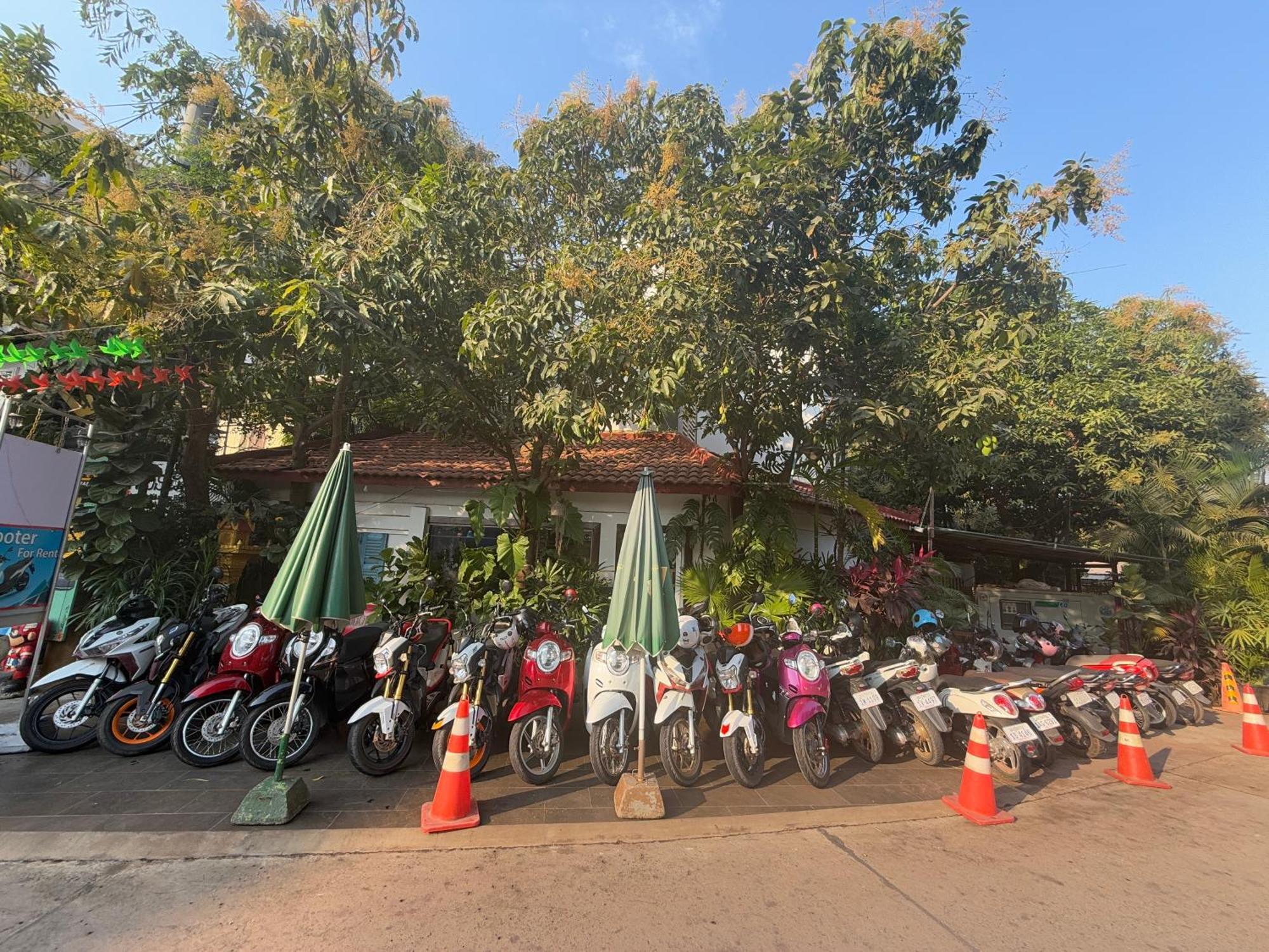 Asanak D'Angkor Boutique Hotel Сием Реап Екстериор снимка